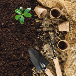 Materiales que necesitarás para tus plantas dentro de casa